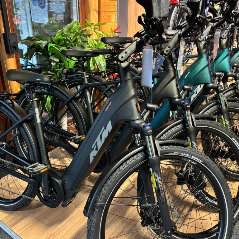 Hier sind verschiedene E-Bikes zusehen