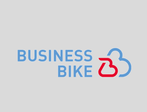 BUSINESS BIKE